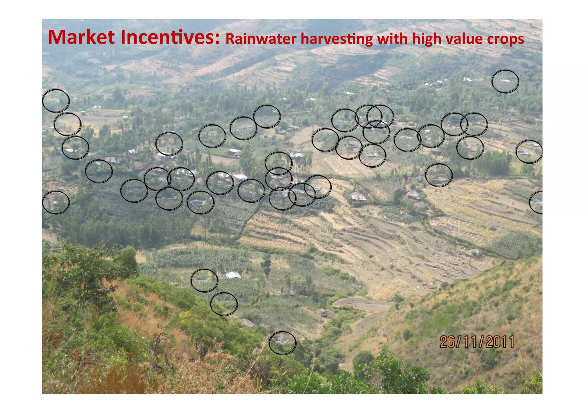 Market	
  Incen.ves:	
  Rainwater	
  harves.ng	
  with	
  high	
  value	
  crops	
  




                                                                               10	
  
 
