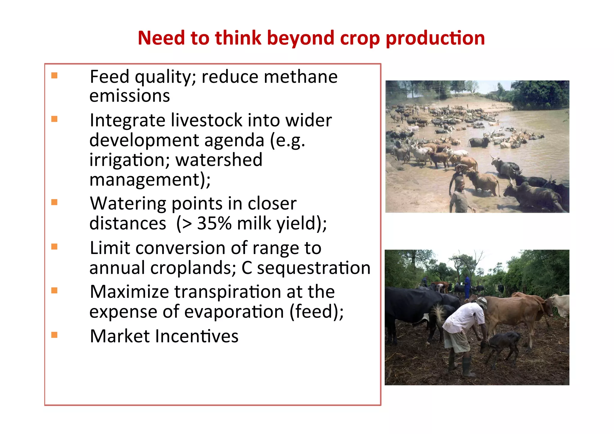 Need	
  to	
  think	
  beyond	
  crop	
  produc.on	
  
§    Feed	
  quality;	
  reduce	
  methane	
  
      emissions	
  
§    Integrate	
  livestock	
  into	
  wider	
  
      development	
  agenda	
  (e.g.	
  
      irriga>on;	
  watershed	
  
      management);	
  
§    Watering	
  points	
  in	
  closer	
  
      distances	
  	
  (>	
  35%	
  milk	
  yield);	
  
§    Limit	
  conversion	
  of	
  range	
  to	
  
      annual	
  croplands;	
  C	
  sequestra>on	
  
§    Maximize	
  transpira>on	
  at	
  the	
  
      expense	
  of	
  evapora>on	
  (feed);	
  
§    Market	
  Incen>ves	
  
 