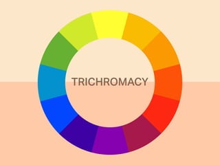 TRICHROMACY
 