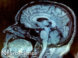 Neuroscience
 