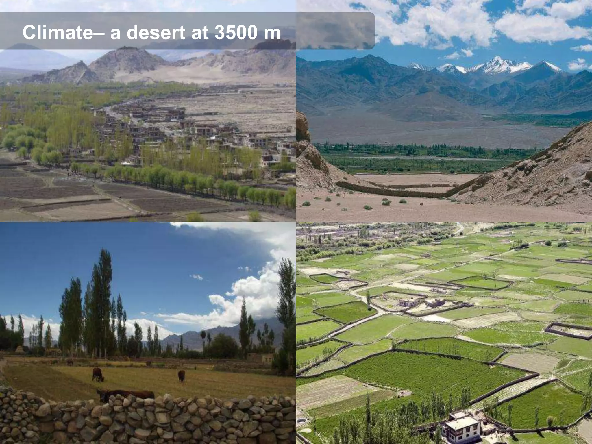 Climate– a desert at 3500 m
 