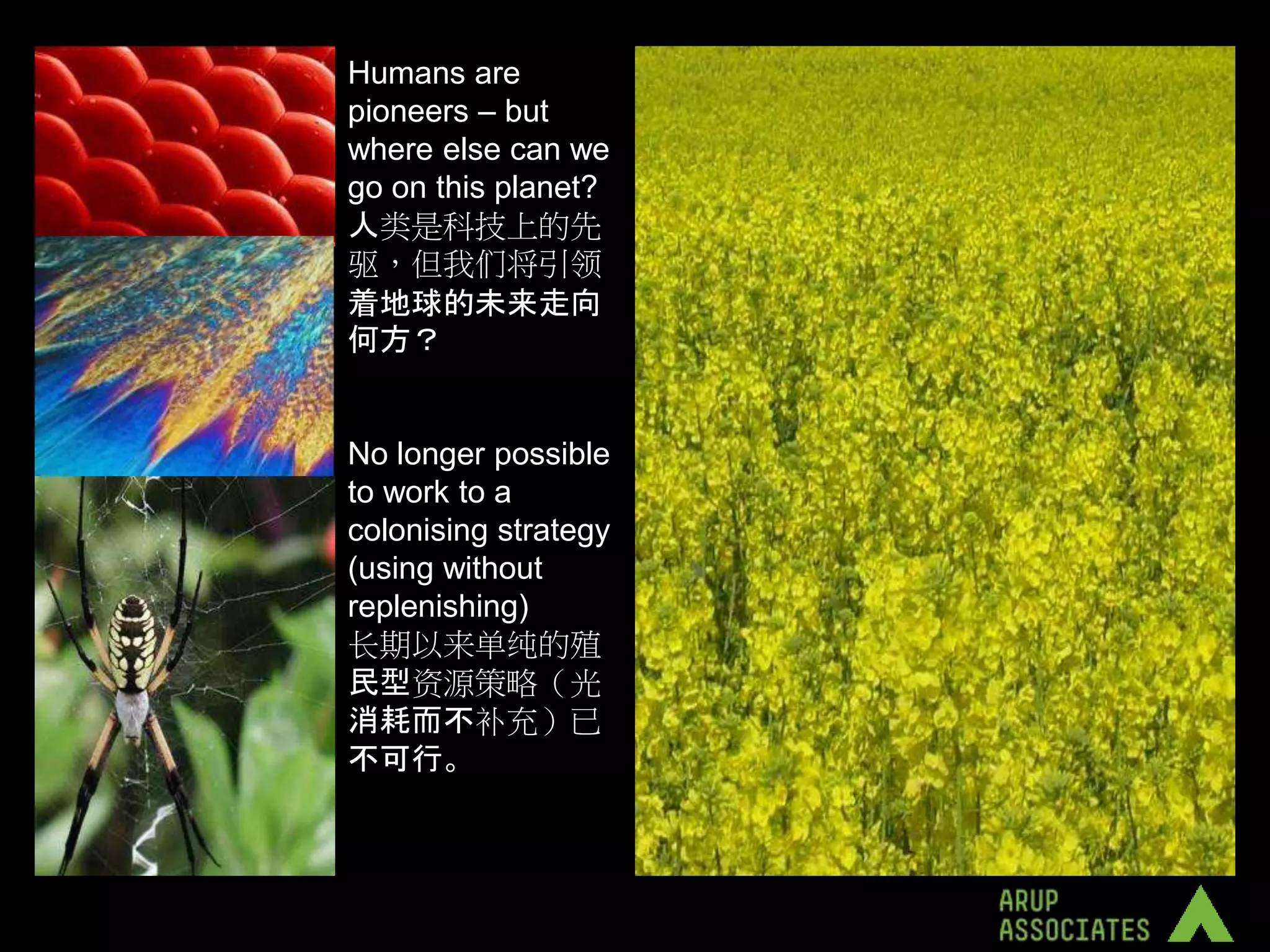 Humans are
pioneers – but
where else can we
go on this planet?
人类是科技上的先
驱，但我们将引领
着地球的未来走向
何方？


No longer possible
to work to a
colonising strategy
(using without
replenishing)
长期以来单纯的殖
民型资源策略（光
消耗而不补充）已
不可行。
 