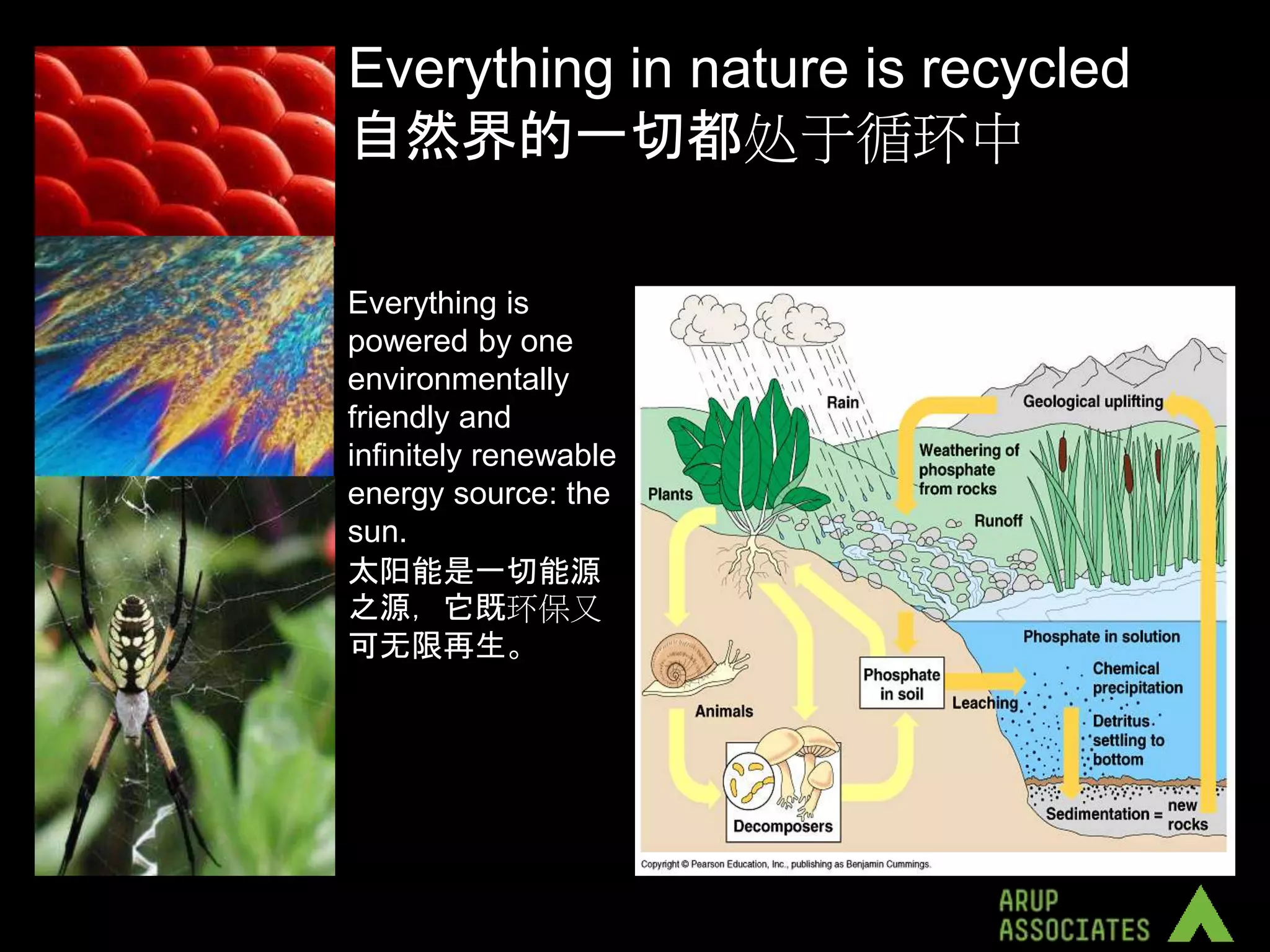 Everything in nature is recycled
自然界的一切都处于循环中

Everything is
powered by one
environmentally
friendly and
infinitely renewable
energy source: the
sun.
太阳能是一切能源
之源，它既环保又
可无限再生。
 