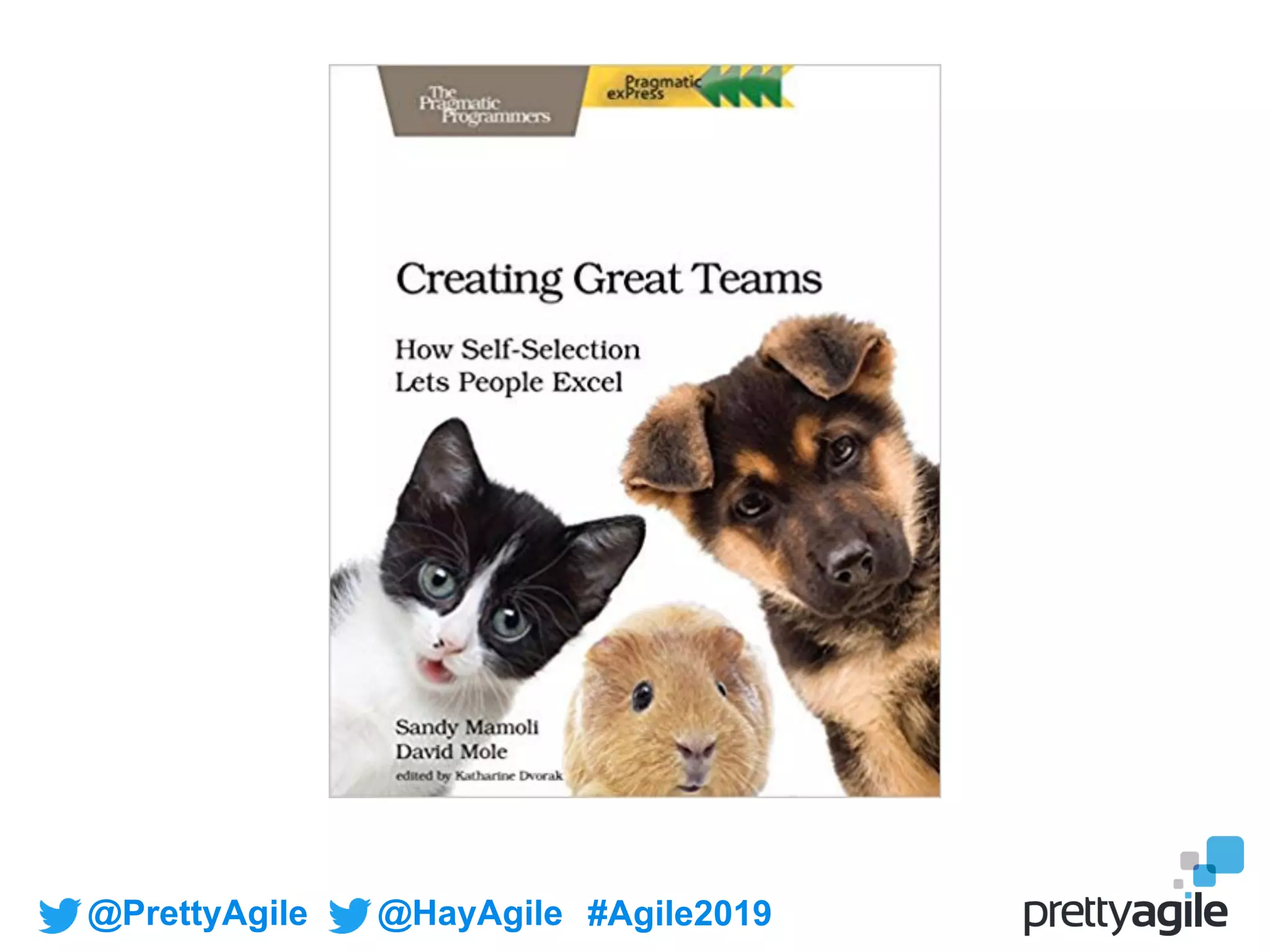 @PrettyAgile @HayAgile #Agile2019
 