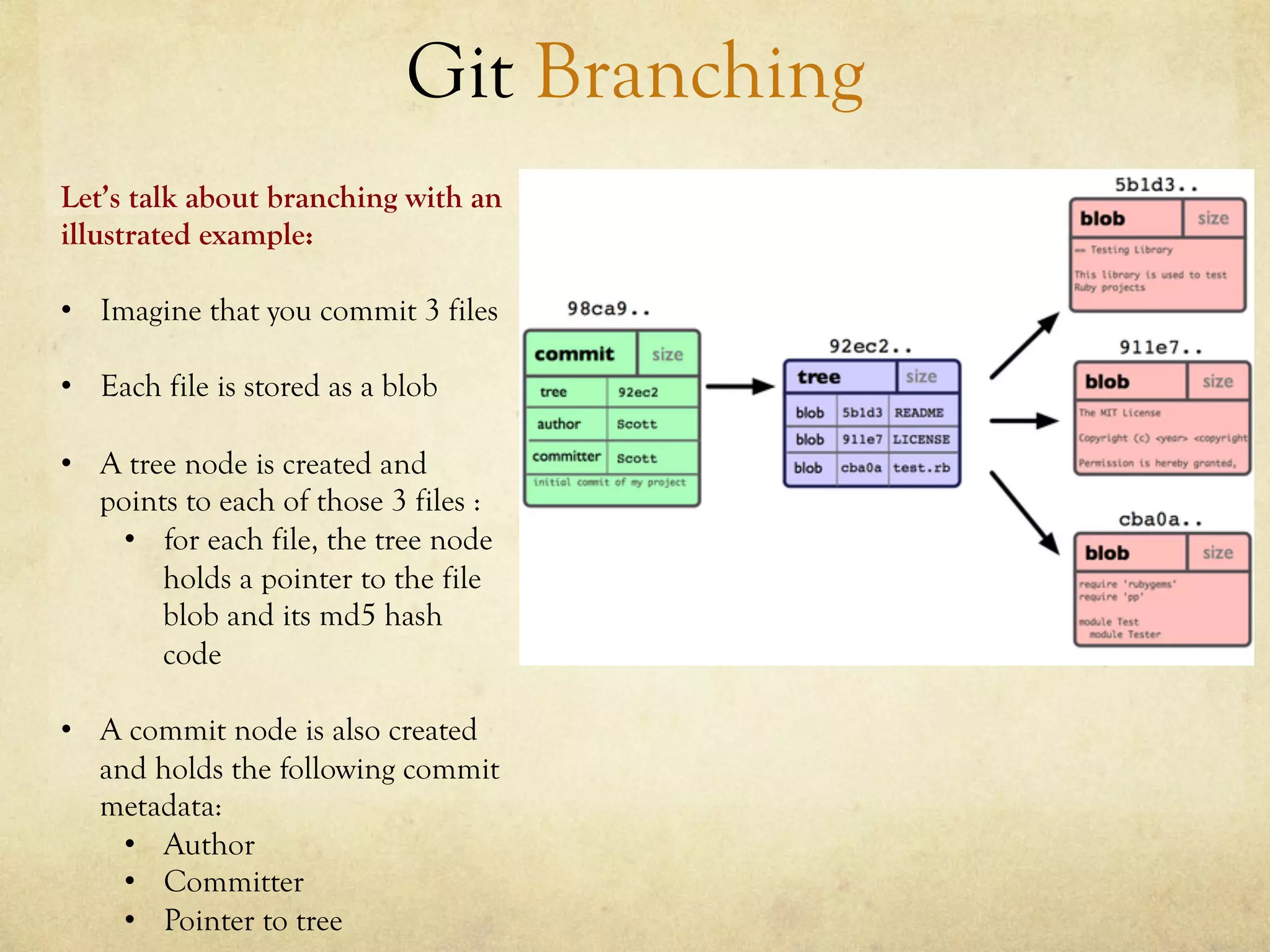 Git Branching
Let’s talk about branching with an
illustrated example:

•  Imagine that you commit 3 files

•  Each file is stored as a blob

•  A tree node is created and
   points to each of those 3 files :
     •  for each file, the tree node
        holds a pointer to the file
        blob and its md5 hash
        code

•  A commit node is also created
   and holds the following commit
   metadata:
     •  Author
     •  Committer
     •  Pointer to tree
 