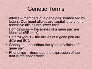 Genetic Terms Alleles – members of a gene pair symbolized by letters. Dominant alleles are capital letters, and recessive alleles are lower case. Homozygous – the alleles of a gene pair are identical (RR or rr). Heterozygous – the alleles of a gene pair are different (Rr). Genotype – describes the types of alleles of a gene pair Phenotype – describes the expression of the trait in the appearance. 