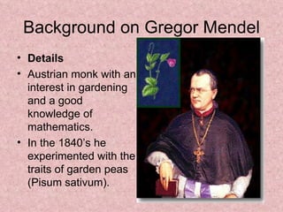 Background on Gregor Mendel Details Austrian monk with an interest in gardening and a good knowledge of mathematics. In the 1840’s he experimented with the traits of garden peas (Pisum sativum). 