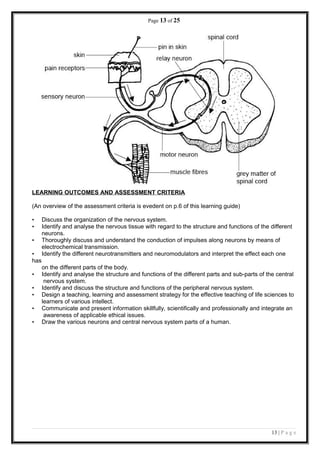 Page 13 of 25
LEARNING OUTCOMES AND ASSESSMENT CRITERIA
(An overview of the assessment criteria is evedent on p.6 of this learning guide)
• Discuss the organization of the nervous system.
• Identify and analyse the nervous tissue with regard to the structure and functions of the different
neurons.
• Thoroughly discuss and understand the conduction of impulses along neurons by means of
electrochemical transmission.
• Identify the different neurotransmitters and neuromodulators and interpret the effect each one
has
on the different parts of the body.
• Identify and analyse the structure and functions of the different parts and sub-parts of the central
nervous system.
• Identify and discuss the structure and functions of the peripheral nervous system.
• Design a teaching, learning and assessment strategy for the effective teaching of life sciences to
learners of various intellect.
• Communicate and present information skillfully, scientifically and professionally and integrate an
awareness of applicable ethical issues.
• Draw the various neurons and central nervous system parts of a human.
13 | P a g e
 