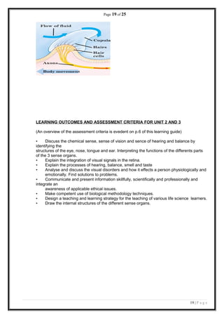 Page 19 of 25
LEARNING OUTCOMES AND ASSESSMENT CRITERIA FOR UNIT 2 AND 3
(An overview of the assessment criteria is evedent on p.6 of this learning guide)
• Discuss the chemical sense, sense of vision and sence of hearing and balance by
identifying the
structures of the eye, nose, tongue and ear. Interpreting the functions of the differents parts
of the 3 sense organs.
• Explain the integration of visual signals in the retina.
• Explain the processes of hearing, balance, smell and taste
• Analyse and discuss the visual disorders and how it effects a person physiologically and
emotionally. Find solutions to problems.
• Communicate and present information skillfully, scientifically and professionally and
integrate an
awareness of applicable ethical issues.
• Make competent use of biological methodology techniques.
• Design a teaching and learning strategy for the teaching of various life science learners.
• Draw the internal structures of the different sense organs.
19 | P a g e
 