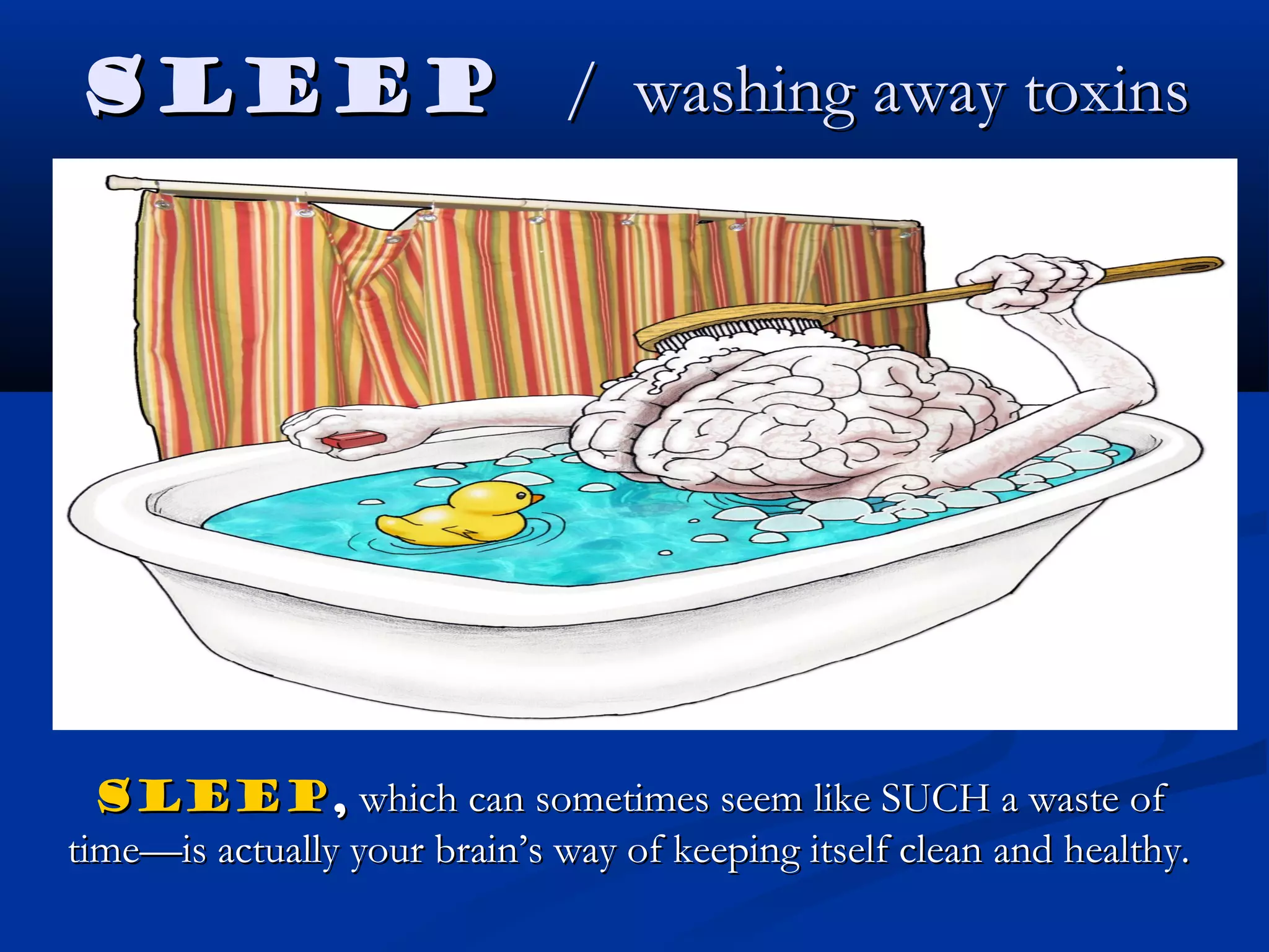 SleepSleep / washing away toxins/ washing away toxins
SleepSleep,, which can sometimes seem like SUCH a waste ofwhich can sometimes seem like SUCH a waste of
time—is actually your brain’s way of keeping itself clean and healthy.time—is actually your brain’s way of keeping itself clean and healthy.
 