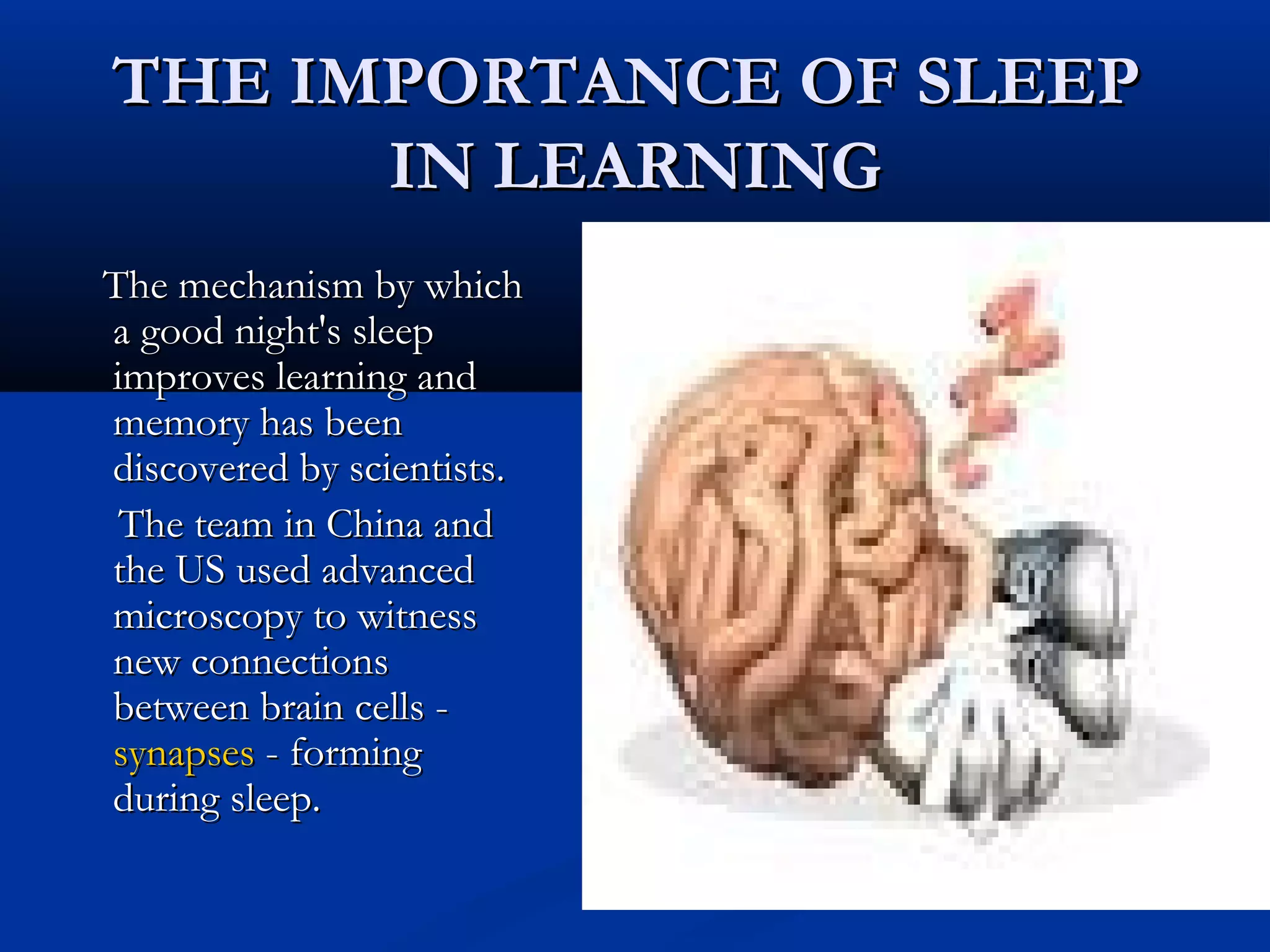 THE IMPORTANCE OF SLEEPTHE IMPORTANCE OF SLEEP
IN LEARNINGIN LEARNING
The mechanism by whichThe mechanism by which
a good night's sleepa good night's sleep
improves learning andimproves learning and
memory has beenmemory has been
discovered by scientists.discovered by scientists.
The team in China andThe team in China and
the US used advancedthe US used advanced
microscopy to witnessmicroscopy to witness
new connectionsnew connections
between brain cells -between brain cells -
synapsessynapses - forming- forming
during sleep.during sleep.
 