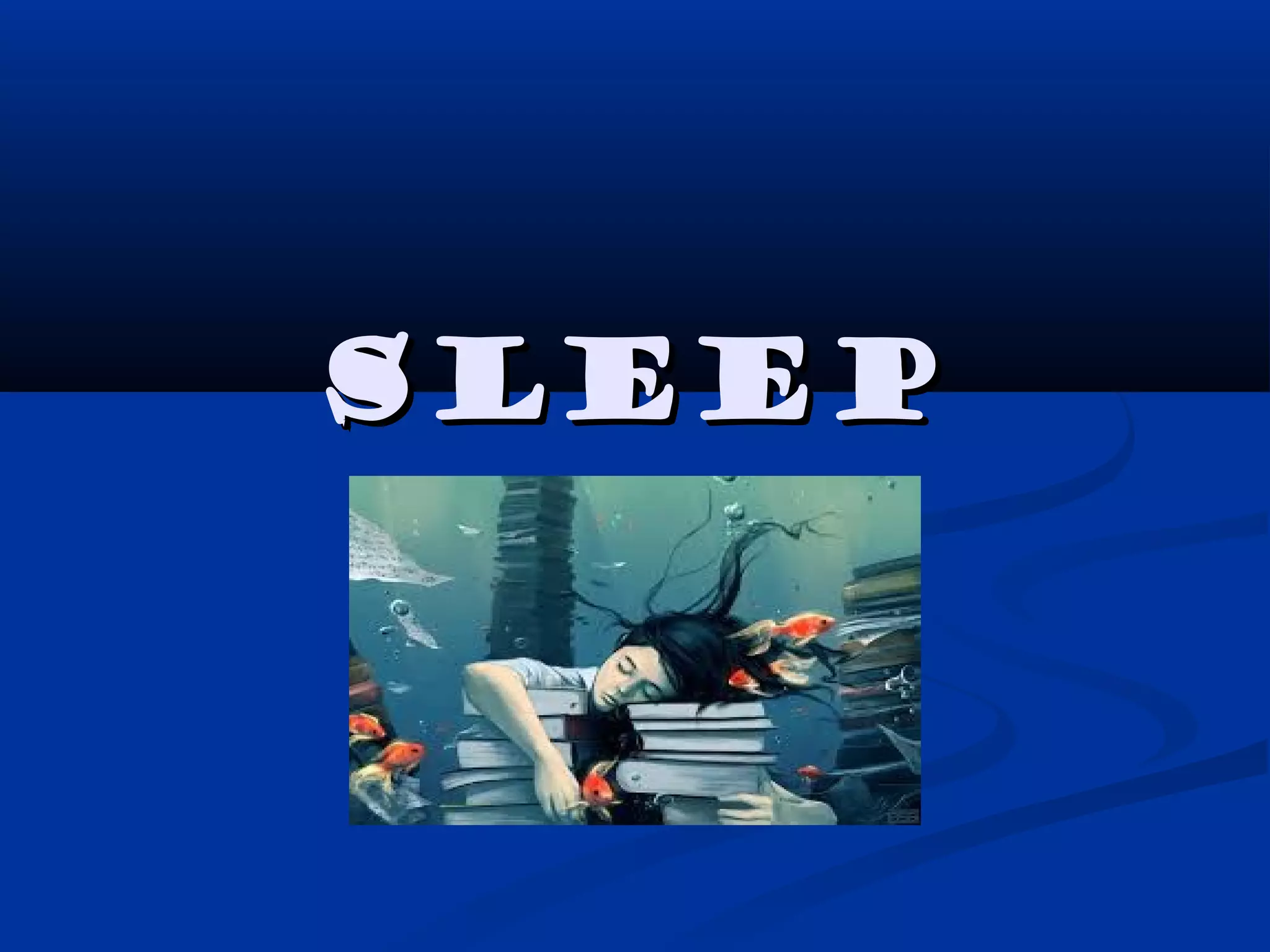 SleepSleep
 