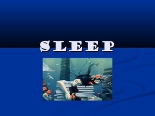 SleepSleep
 