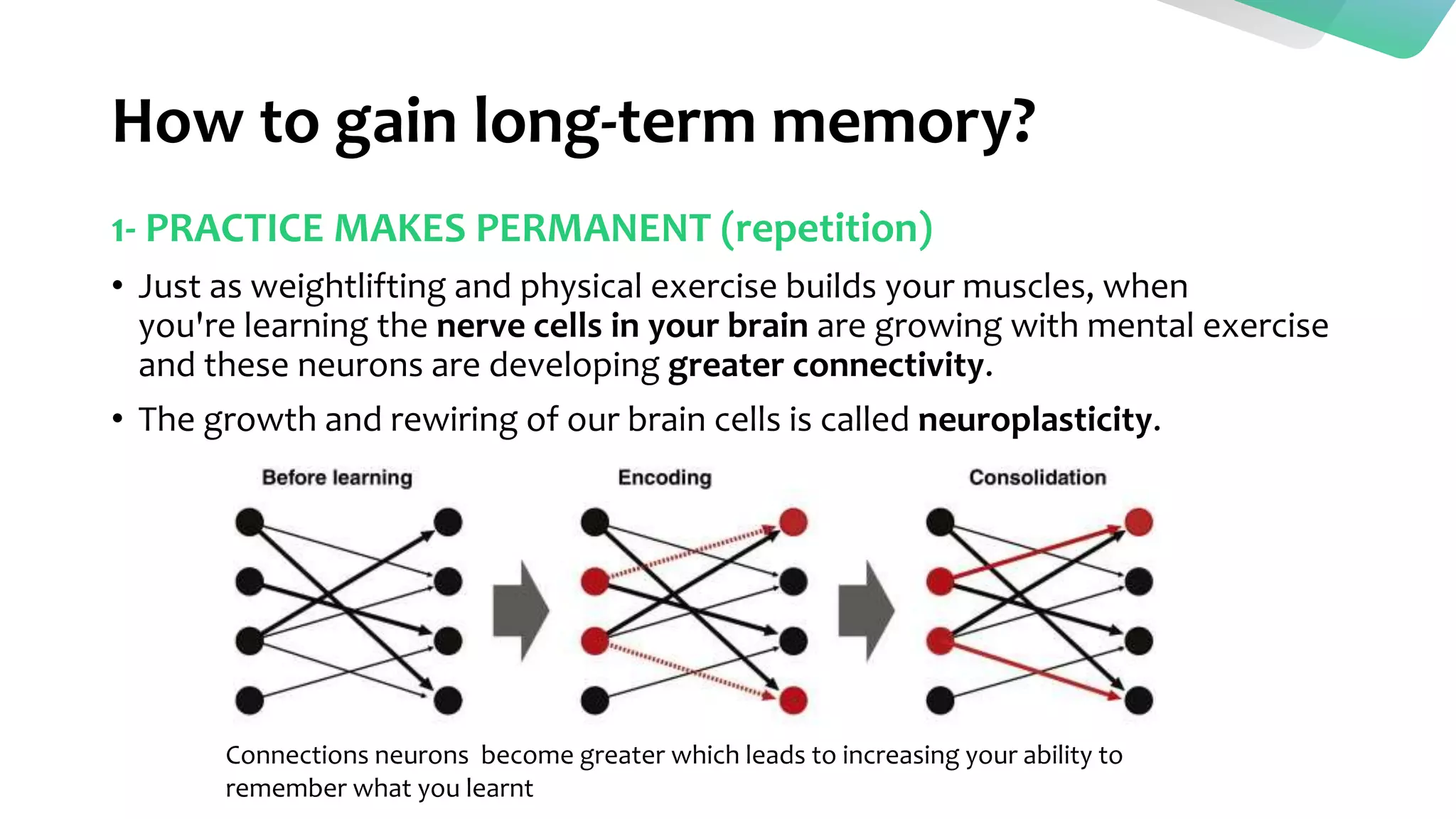 How to gain long-term memory?
1- PRACTICE MAKES PERMANENT (repetition)
• Just as weightlifting and physical exercise builds your muscles, when
you're learning the nerve cells in your brain are growing with mental exercise
and these neurons are developing greater connectivity.
• The growth and rewiring of our brain cells is called neuroplasticity.
Connections neurons become greater which leads to increasing your ability to
remember what you learnt
 