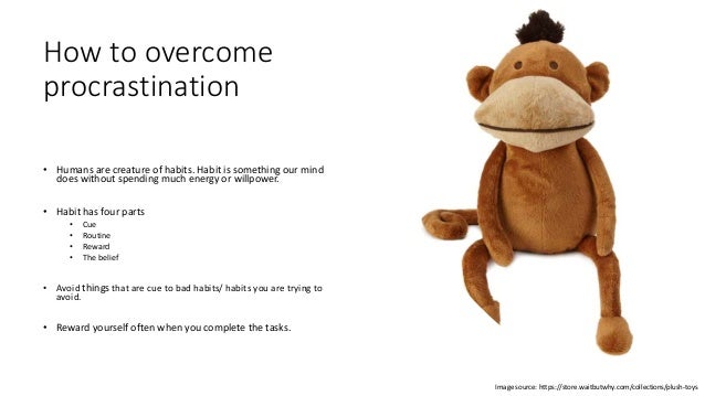 instant gratification monkey plush toy