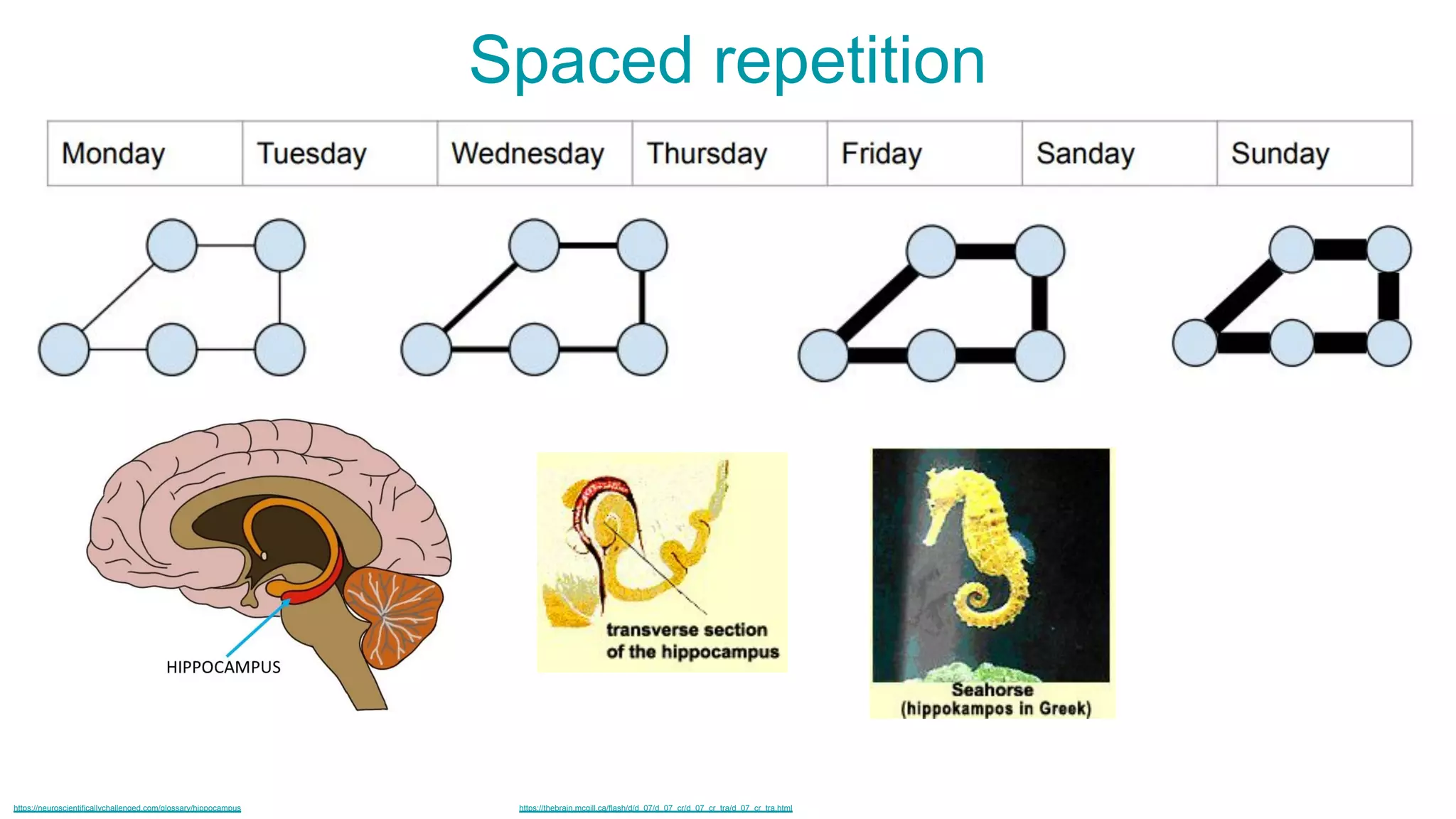 https://neuroscientificallychallenged.com/glossary/hippocampus https://thebrain.mcgill.ca/flash/d/d_07/d_07_cr/d_07_cr_tra/d_07_cr_tra.html
Spaced repetition
 