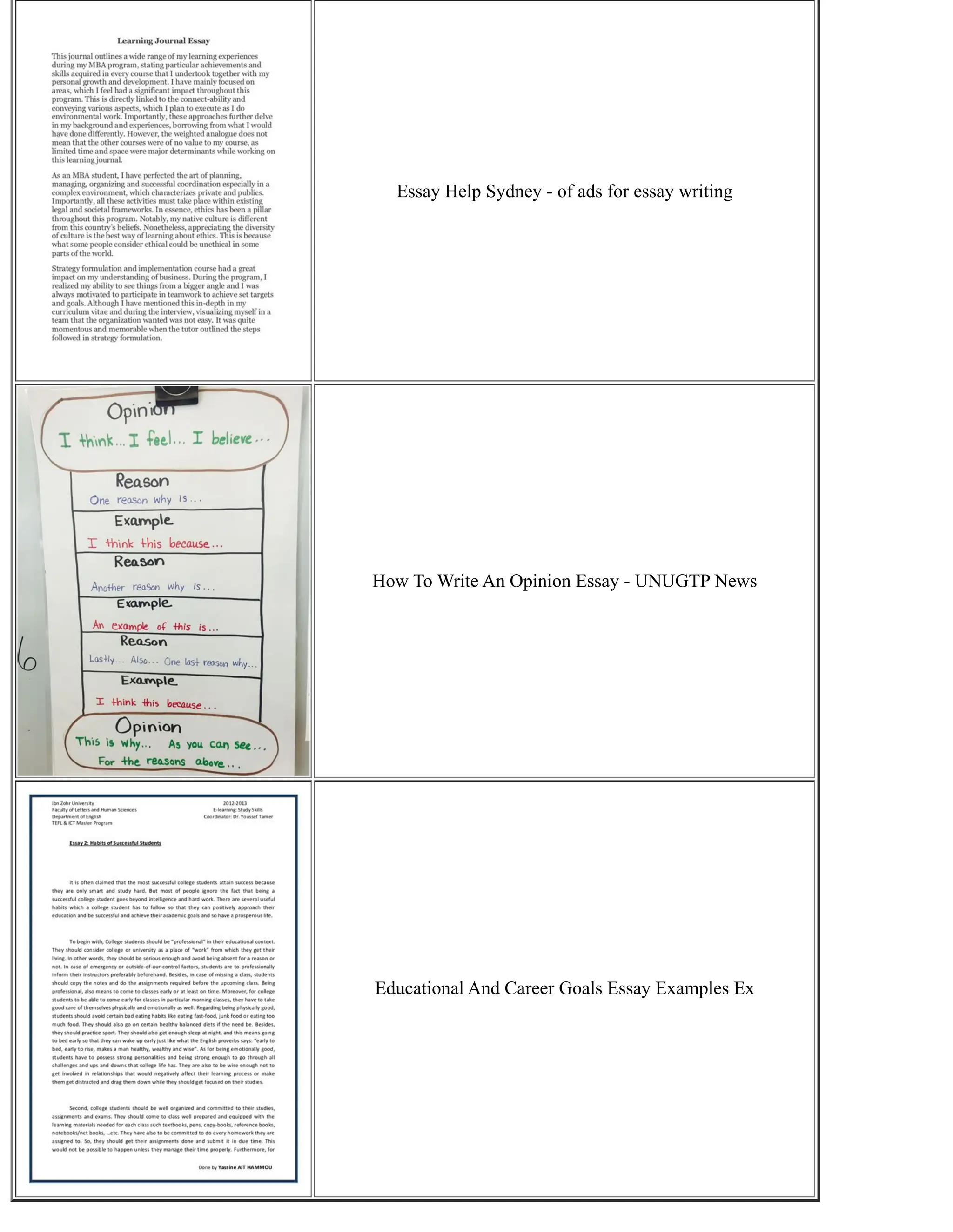 Essay Help Sydney - of ads for essay writing
How To Write An Opinion Essay - UNUGTP News
Educational And Career Goals Essay Examples Ex
 