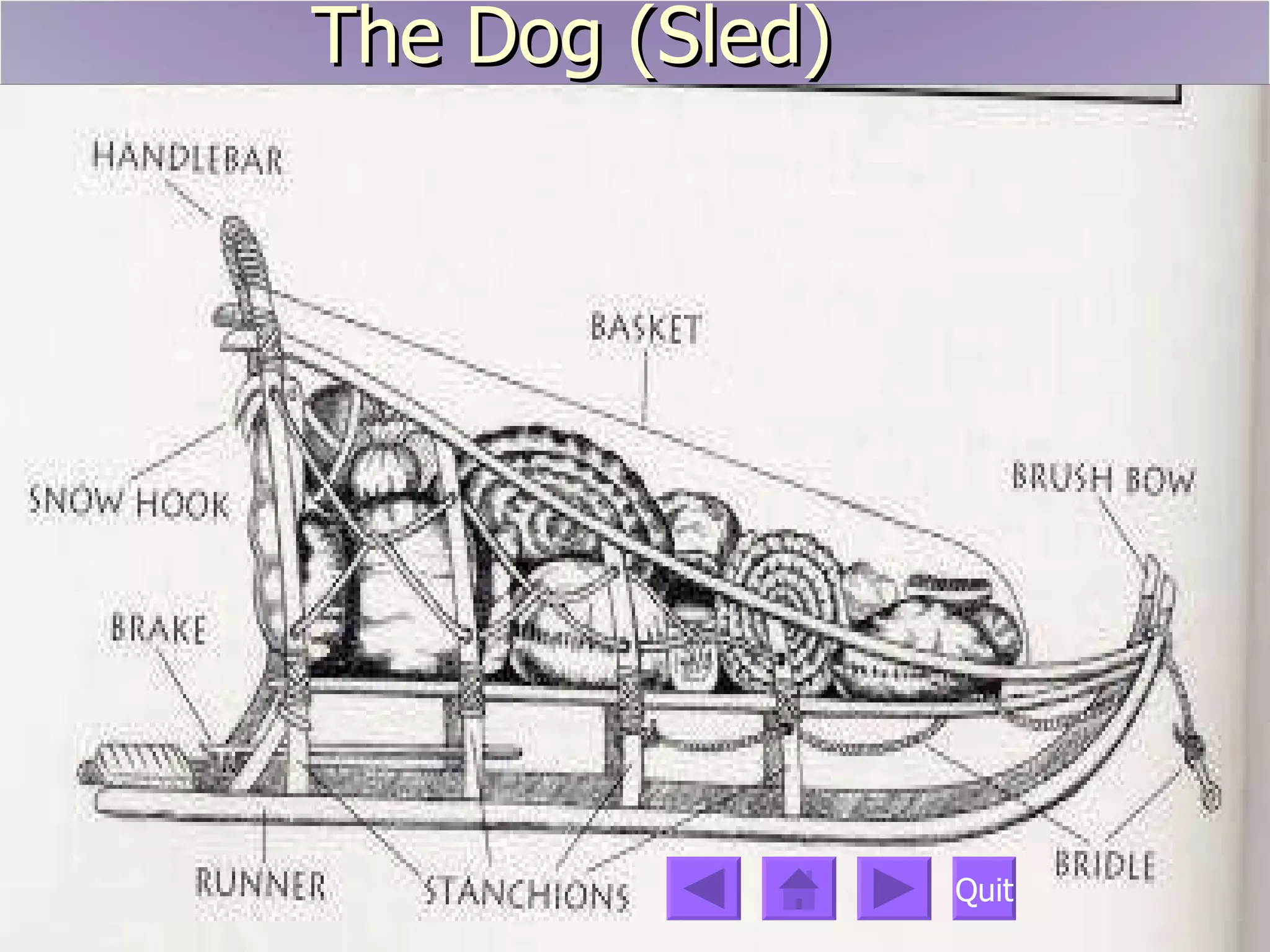 Nome  is the finish line for the annual Iditarod Race. Known as "The Last Great Race on Earth", mushers and dogs travel 1,049 miles from Anchorage to Nome each March.   