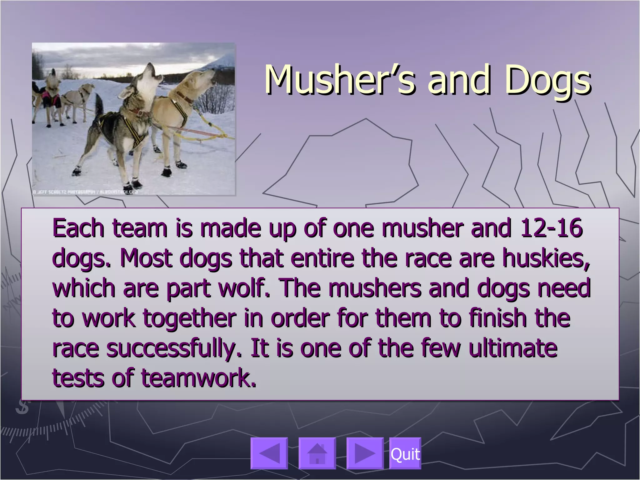 Iditarod Official Website Please take some time to look at this website and see all the different things it has to offer. http://iditarod.com 