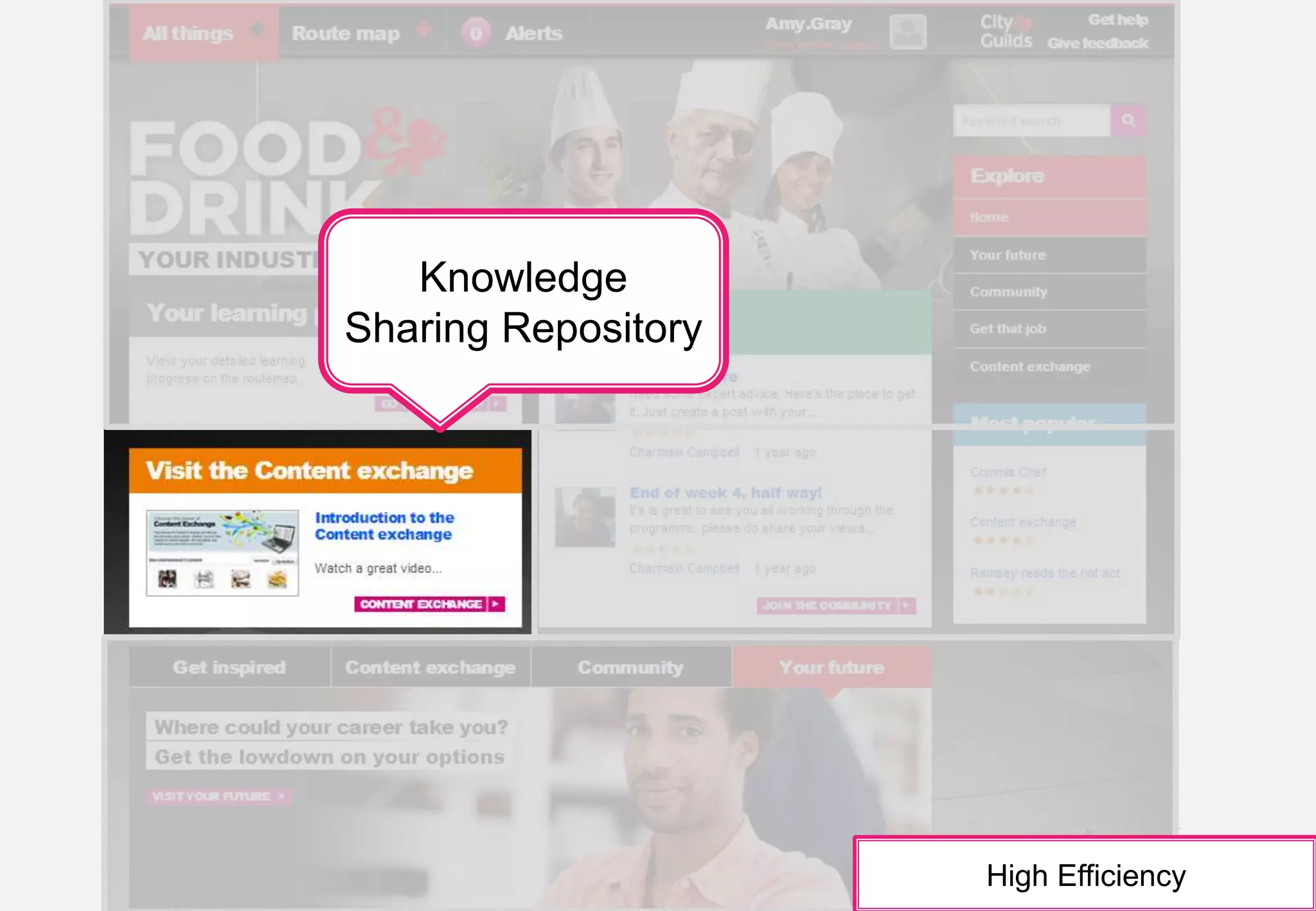 Knowledge 
Sharing Repository 
High Efficiency 
© City & Guilds Kineo. All rights reserved 26 
 