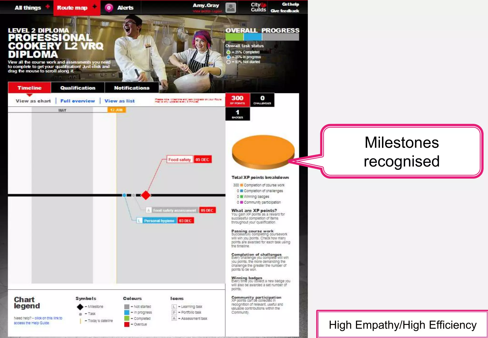 Milestones 
recognised 
High Empathy/High Efficiency 
© City & Guilds Kineo. All rights reserved 29 
 