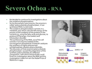  He decided to continue his investigations about
the oxidative phosphorylation.
 So he discovered a new enzyme, the enzyme is
called ‘polynucleotide phosphorylase’, it can
synthesize RNA in a test tube.
 The oxidative phosphorylation consists in a
metabolic way which uses the left energy of the
process of the oxidation of the proteins in the
nutrients to, using the fatty acids and glucose, to
produceATP(energy), H20 (water) and
CO2(carbon dioxide).
 The synthesizing of the RNA, out of the cell
consists in an enzyme isolated of the
microorganism AzotobacterVinelandii catalyzes
the synthesis of highly polymerized
orthophosphate releases polynucleotides.
 The discovery of that enzyme (polynucleotide
phosphorylase) caused the preparation of the
synthetic polynucleotide of a different
composition, with which Ochoa finally could
finish his investigation about the RNA and this
investigation made him win the Nobel Prize of
Medicine in 1959.
 