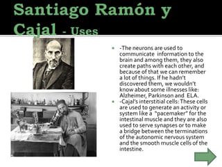  -The neurons are used to
communicate information to the
brain and among them, they also
create paths with each other, and
because of that we can remember
a lot of things. If he hadn’t
discovered them, we wouldn’t
know about some illnesses like:
Alzheimer, Parkinson and ELA.
 -Cajal’s interstitial cells:These cells
are used to generate an activity or
system like a “pacemaker” for the
intestinal muscle and they are also
used to serve synapses or to make
a bridge between the terminations
of the autonomic nervous system
and the smooth muscle cells of the
intestine.
 