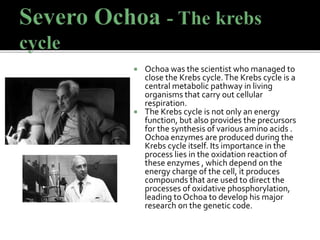  Ochoa was the scientist who managed to
close the Krebs cycle.The Krebs cycle is a
central metabolic pathway in living
organisms that carry out cellular
respiration.
 The Krebs cycle is not only an energy
function, but also provides the precursors
for the synthesis of various amino acids .
Ochoa enzymes are produced during the
Krebs cycle itself. Its importance in the
process lies in the oxidation reaction of
these enzymes , which depend on the
energy charge of the cell, it produces
compounds that are used to direct the
processes of oxidative phosphorylation,
leading to Ochoa to develop his major
research on the genetic code.
 