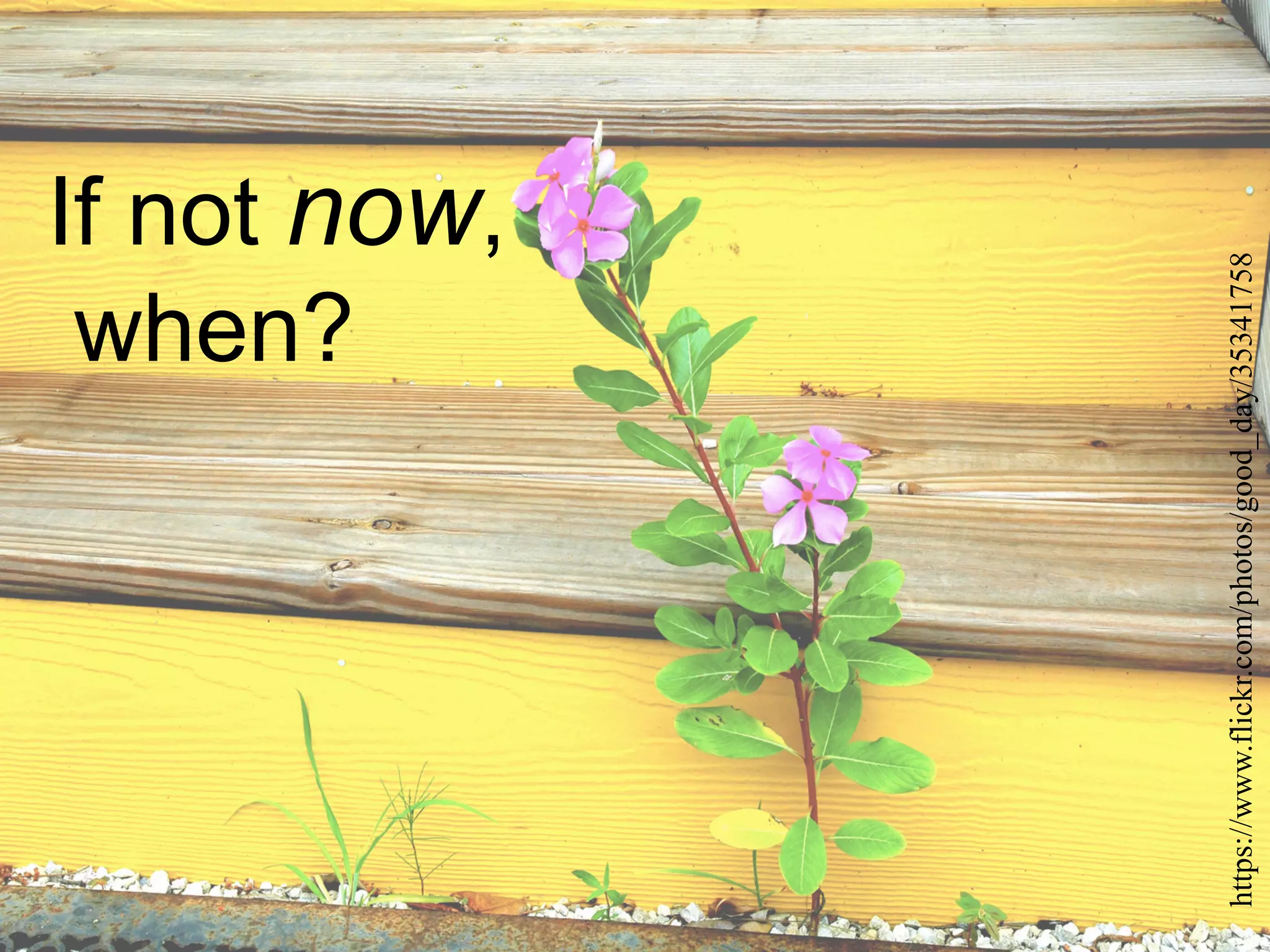 https://www.flickr.com/photos/good_day/35341758
If not now,
when?
 