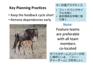 Agile Testing Learning journeys for the whole team at AgileJapan 2015