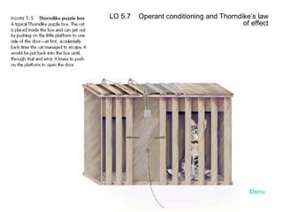 LO 5.7   Operant conditioning and Thorndike’s law of effect Menu 