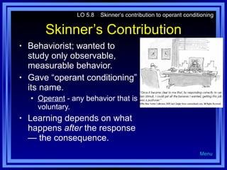 Skinner’s Contribution Behaviorist; wanted to study only observable, measurable behavior. Gave “operant conditioning” its name. Operant  - any behavior that is voluntary. Learning depends on what happens  after  the response — the consequence. LO 5.8  Skinner’s contribution to operant conditioning Menu 
