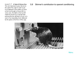 Menu LO 5.8  Skinner’s contribution to operant conditioning 