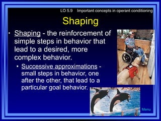 Shaping Shaping  - the reinforcement of simple steps in behavior that lead to a desired, more complex behavior. Successive approximations  - small steps in behavior, one after the other, that lead to a particular goal behavior. LO 5.9  Important concepts in operant conditioning Menu 