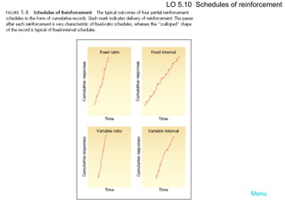 Menu LO 5.10  Schedules of reinforcement 