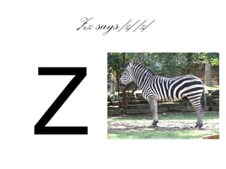 Zz says /z/ /z/
Z
 