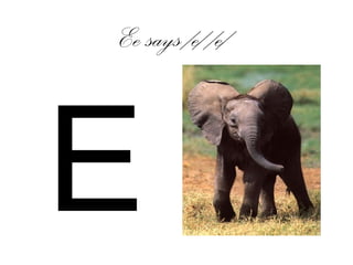 Ee says /e/ /e/
E
 