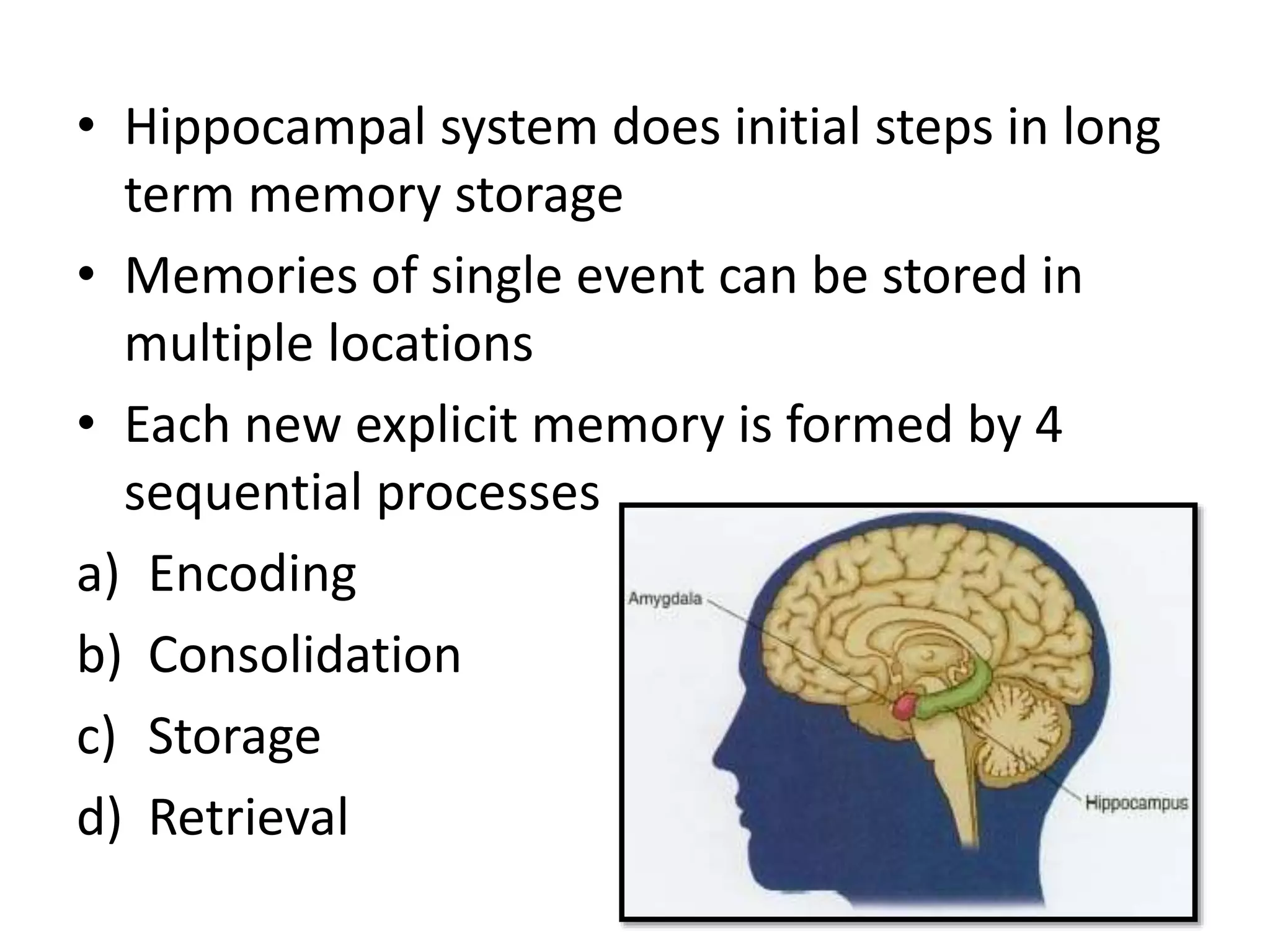 Neuroscience of Learning & memory | PPTX
