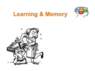 Learning & Memory
 