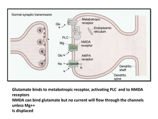 Neuroscience of Learning & memory | PPTX