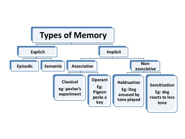 Neuroscience of Learning & memory