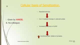 Cellular basis of Sensitization.
Given by KANDEL
& hiscolleague.
Repeated stimulus.
Ca+2 mediated changes in adenylylcyclase
Increased production of cAMP
neurotransmitter release at synapses.
11
Saturday, July 29,
2017
HIGHER FUNCTIONS OF BRAIN.
 