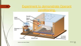Experiment to demonstrate Operant
conditioning.
20
Saturday, July 29,
2017
HIGHER FUNCTIONS OF BRAIN.
 