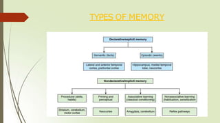 TYPES OF MEMORY
 