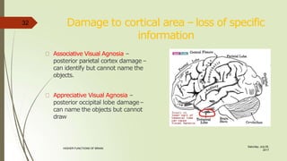 Damage to cortical area – loss of specific
information
Associative Visual Agnosia –
posterior parietal cortex damage –
can identify but cannot name the
objects.
Appreciative Visual Agnosia –
posterior occipital lobe damage–
can name the objects but cannot
draw
32
Saturday, July 29,
2017
HIGHER FUNCTIONS OF BRAIN.
 