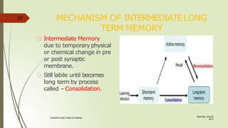 MECHANISM OF INTERMEDIATELONG
TERM MEMORY
Intermediate Memory
due to temporary physical
or chemical change in pre
or post synaptic
membrane.
Still labile until becomes
long term by process
called – Consolidation.
37
Saturday, July 29,
2017
HIGHER FUNCTIONS OF BRAIN.
 