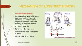 MECHANISM OF LONG TERMMEMORY
Consolidation of Memory
Rehearsal of the sameinformation
again and again in the mind
accelerate and potentiate the
degree of transfer of short term
memory to long termmemory.
For mild – 5-10 min
For strong – 1or more hour
.
Ifthis time not given – retrograde
amnesia
E.g. – Precise time of sleep
43
Saturday, July 29,
2017
HIGHER FUNCTIONS OF BRAIN.
 
