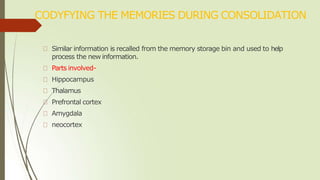 CODYFYING THE MEMORIES DURING CONSOLIDATION
Similar information is recalled from the memory storage bin and used to help
process the new information.
Parts involved-
Hippocampus
Thalamus
Prefrontal cortex
Amygdala
neocortex
 