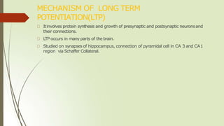 MECHANISM OF LONG TERM
POTENTIATION(LTP)
Itinvolves protein synthesis and growth of presynaptic and postsynaptic neuronsand
their connections.
LTP occurs in many parts of the brain.
Studied on synapses of hippocampus, connection of pyramidal cell in CA 3 and CA1
region via Schaffer Collateral.
 
