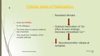 Cellular basis of Habituation.
Given by KANDEL
& hiscolleague.
The brain learn to ignore matterof
less important.
This result from inhibition of the
synaptic pathway.
Repeated stimulus.
Gradual inactivation of Ca+
2
influx at axon endings.
Decrease intracellular Ca+2
Neurotransmitter release at
synapses.
9
Saturday, July 29,
2017
HIGHER FUNCTIONS OF BRAIN.
 
